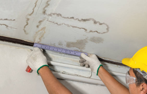 Reliable Water Damage contractor in Seagoville, TX by Water Damage Irwin